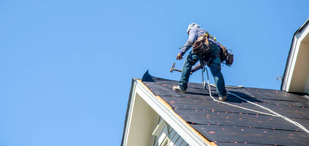 Best Storm Damage Roof Repair  in Monette, AR